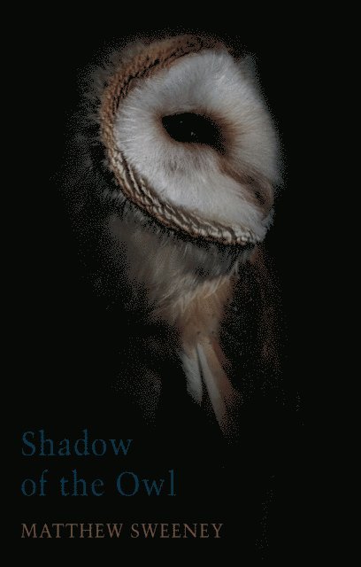 Matthew Sweeney - Shadow of the Owl, E-bok
