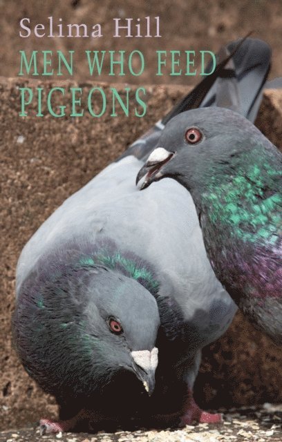 Selima Hill - Men Who Feed Pigeons, E-bok