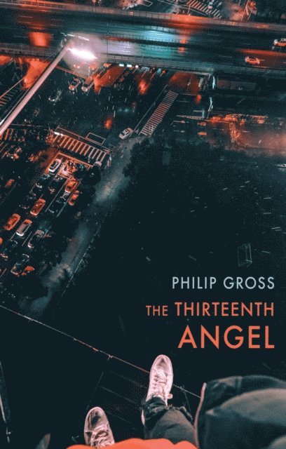 Philip Gross - Thirteenth Angel, E-bok