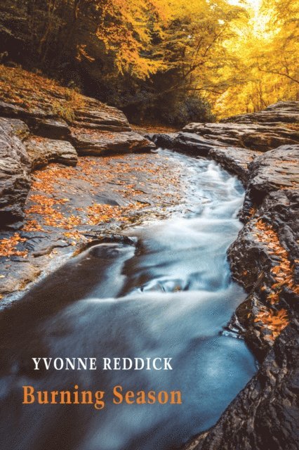 Yvonne Reddick - Burning Season, E-bok