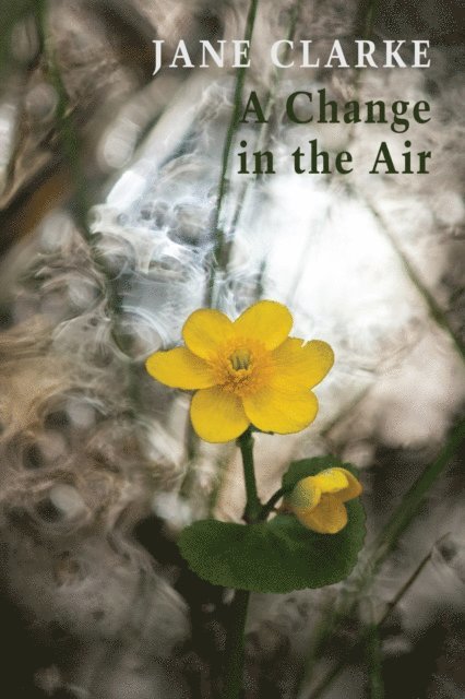 Jane Clarke - Change in the Air, E-bok