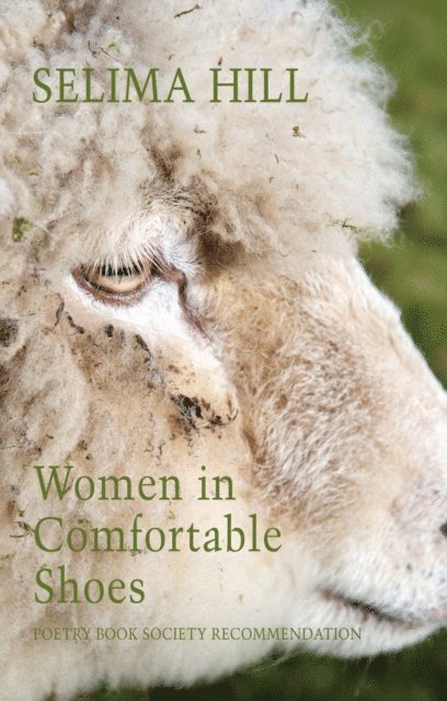 Selima Hill - Women in Comfortable Shoes, E-bok