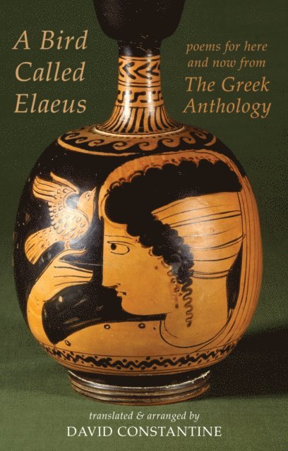 David Constantine - Bird Called Elaeus, E-bok