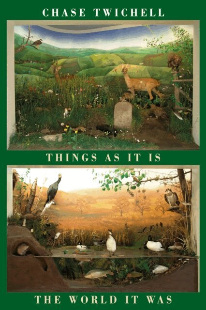 Chase Twichell - Things As It Is | The World As It Was, E-bok