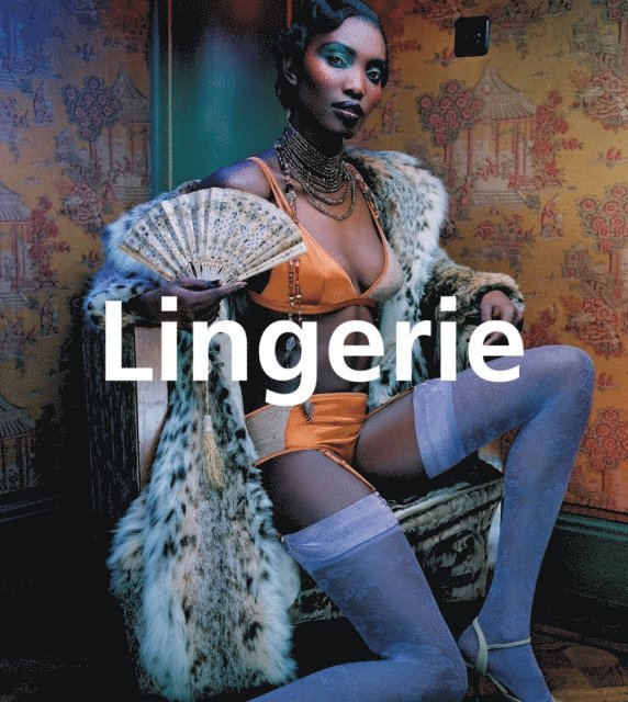 Carl Klaus Carl - Lingerie, E-bok