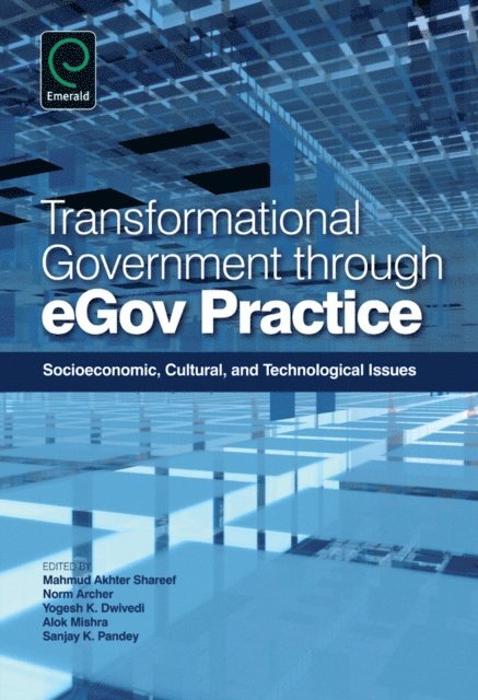 Yogesh K. Dwivedi, Norm Archer, Mahmud Akhter Shareef - Transformational Government Through EGov Practice, E-bok