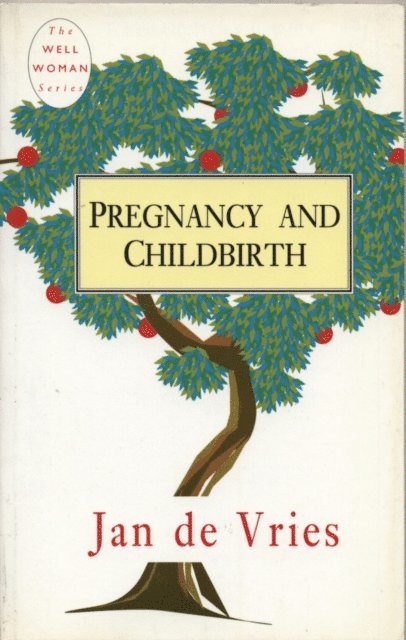 Jan de Vries - Pregnancy and Childbirth, E-bok