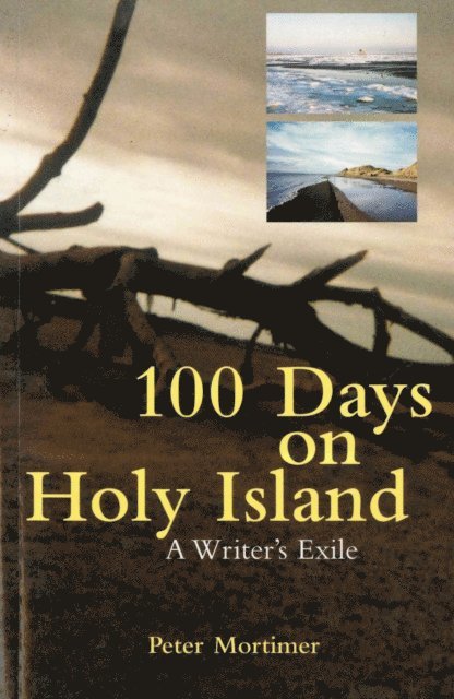 Peter Mortimer - 100 Days On Holy Island, E-bok