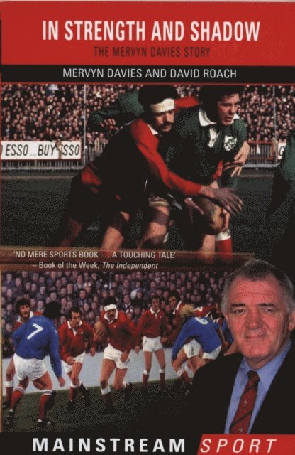 David Roach, Mervyn Davies - In Strength And Shadow, E-bok