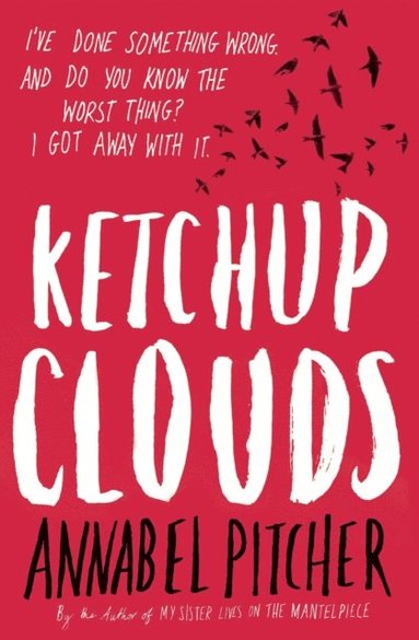 Annabel Pitcher - Ketchup Clouds, E-bok