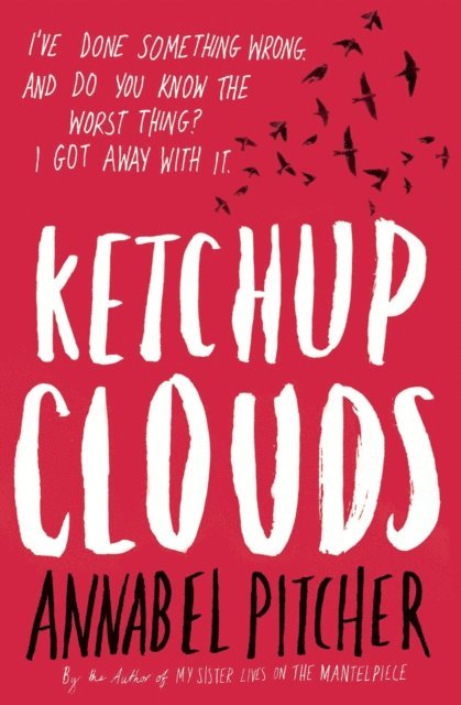 Annabel Pitcher - Ketchup Clouds, E-bok