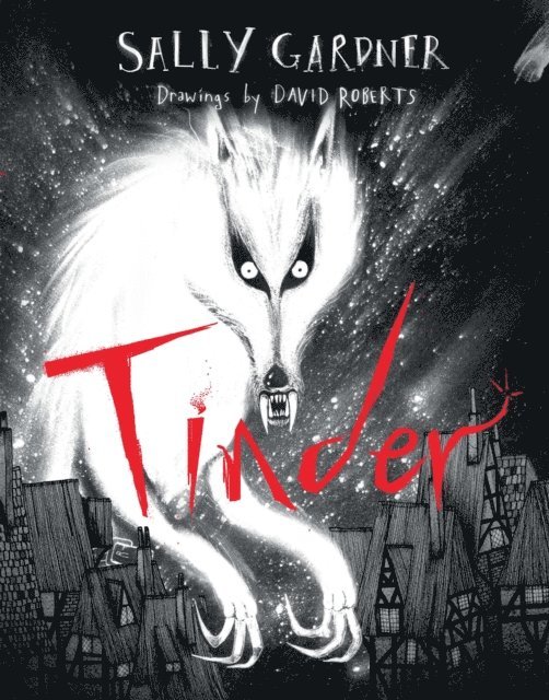 Sally Gardner - Tinder, E-bok