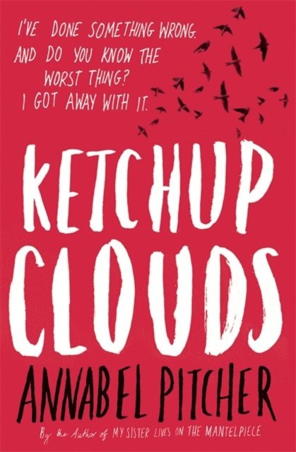 Annabel Pitcher - Ketchup Clouds, E-bok