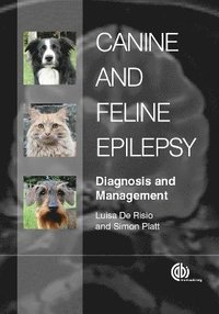 Canine and Feline Epilepsy