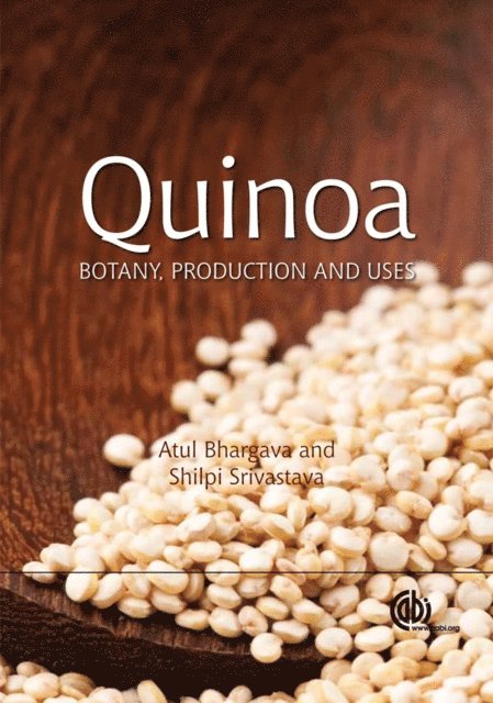 Atul Bhargava, Shilpi Srivastava - Quinoa, E-bok