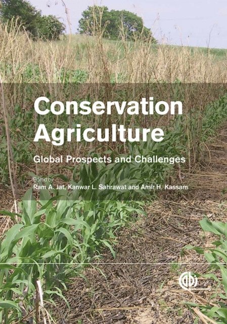 Ram Jat, Kanwar Sahrawat, Amir Kassam - Conservation Agriculture, E-bok