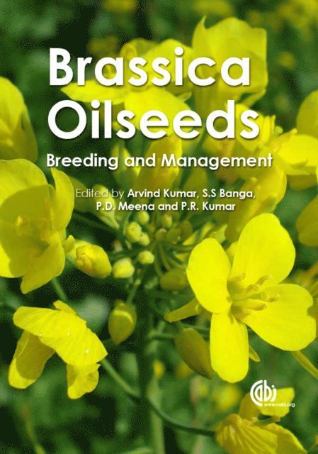 Arvind Kumar, Surinder S Banga, Prabhu Dayal Meena, Priya Priya - Brassica Oilseeds, E-bok