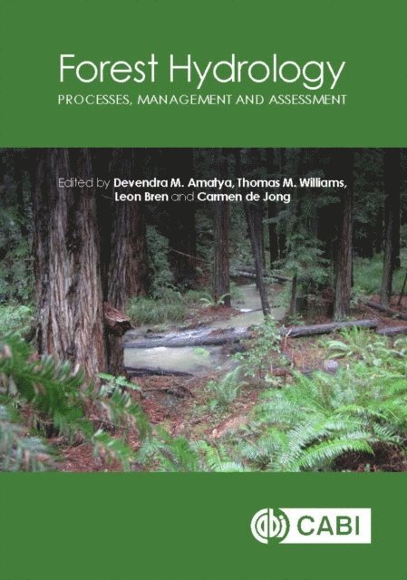 Devendra Amatya, Thomas Williams, Leon Bren, Carmen de Jong - Forest Hydrology, E-bok