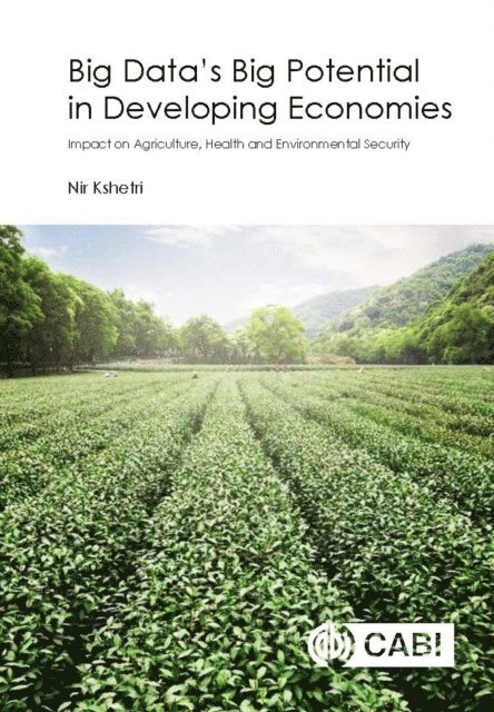 Nir Kshetri - Big Data’s Big Potential in Developing Economies, E-bok