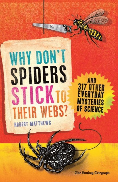 Robert Matthews - Why Don't Spiders Stick to Their Webs?, E-bok