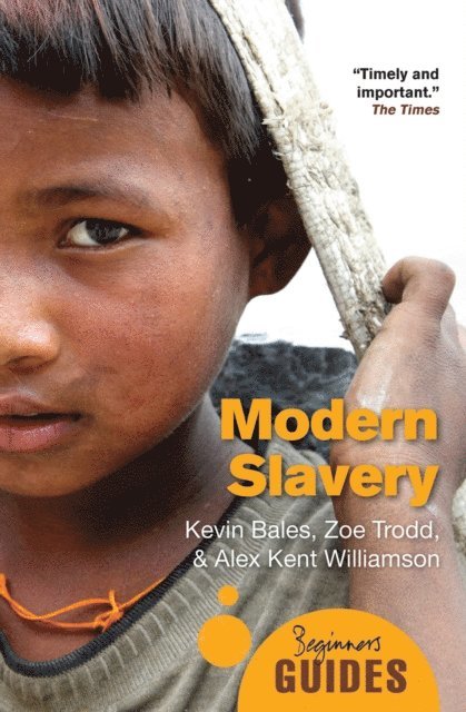Alex Kent Williamson, Zoe Trodd, Kevin Bales - Modern Slavery, E-bok