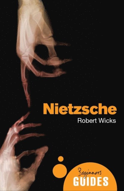 Robert Wicks - Nietzsche, E-bok