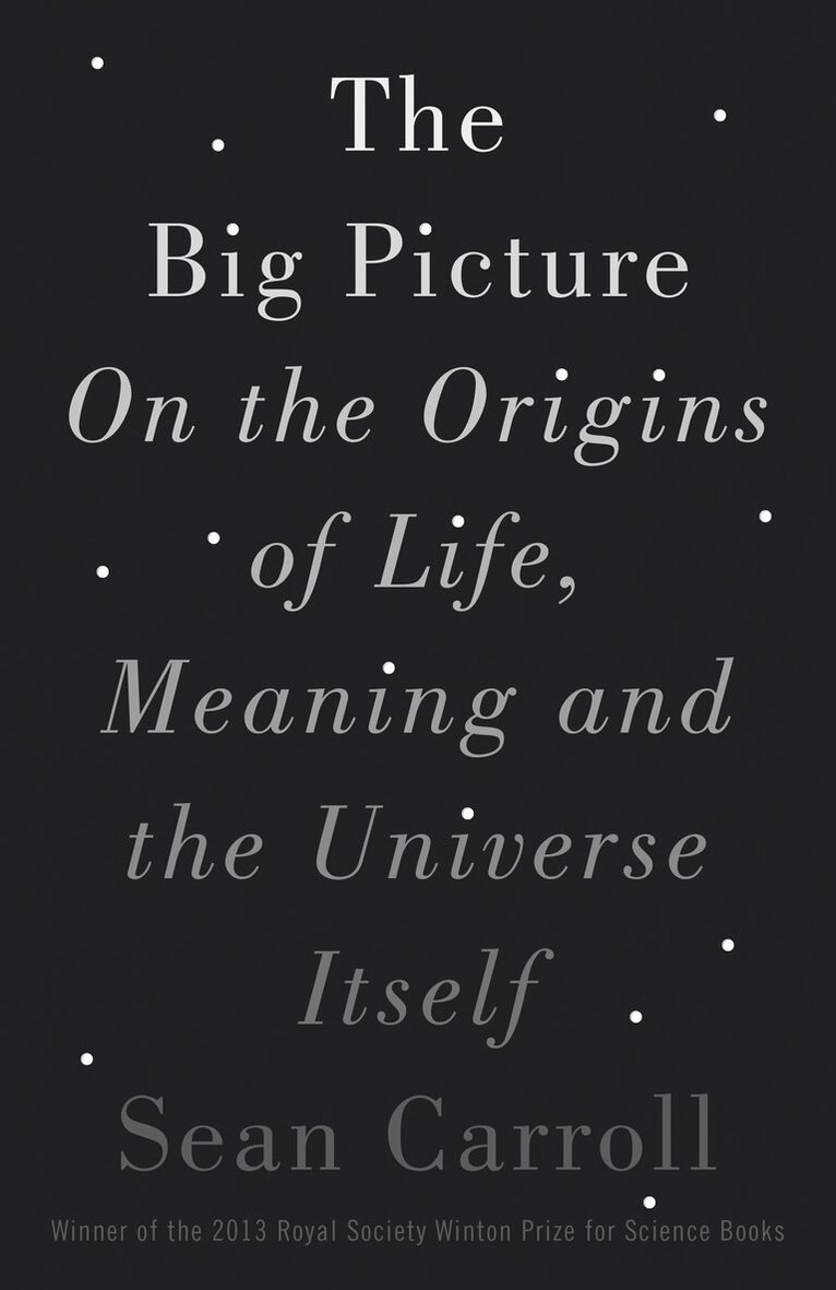 Sean Carroll - Big Picture, E-bok