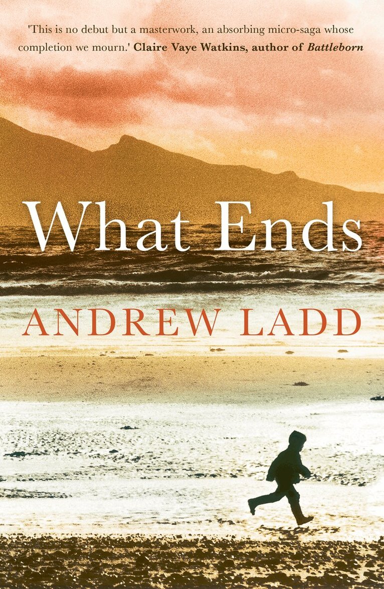 Andrew Ladd - What Ends, Häftad. Tillgänglighet: Tillfälligt slut