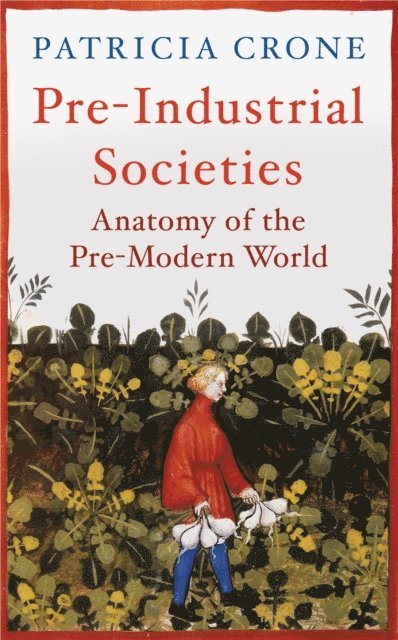 Patricia Crone - Pre-Industrial Societies, E-bok