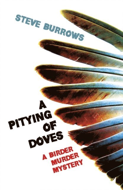 Steve Burrows - Pitying of Doves, E-bok