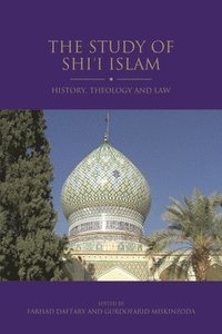 The Study of Shi'i Islam: History, Theology and Law