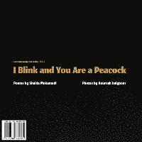 Sheida Mohamadi - I Blink and You Are a Peacock: Ta Pelkam Mojeh Mizanad, Tavoos Mishavi, Häftad
