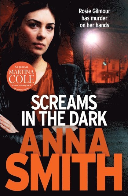 Anna Smith - Screams in the Dark, E-bok