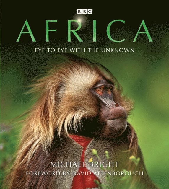 Michael Bright - Africa, E-bok