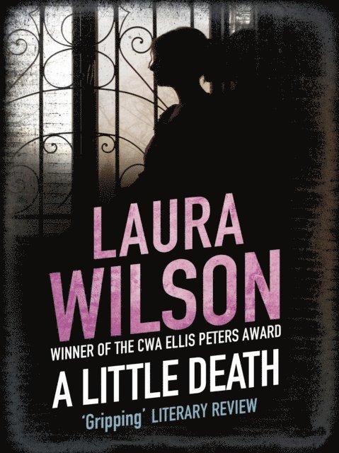 Laura Wilson - Little Death, E-bok