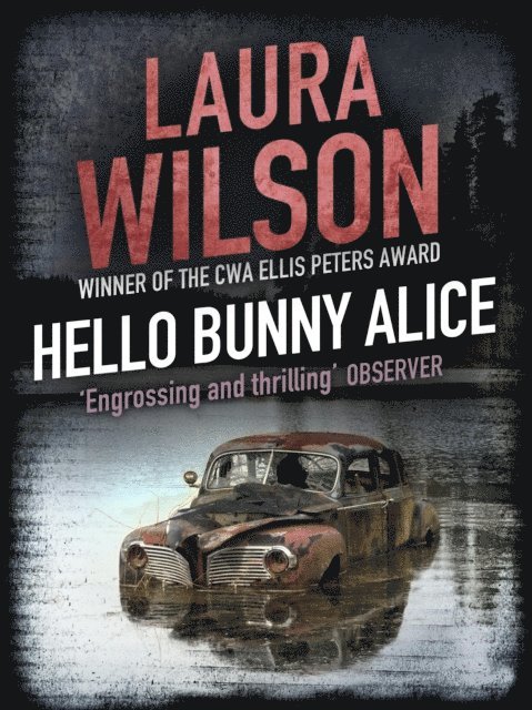 Laura Wilson - Hello Bunny Alice, E-bok