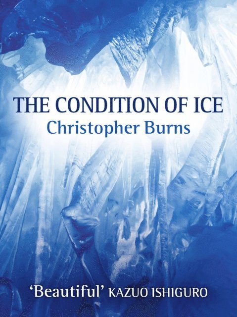 Christopher Burns - Condition of Ice, E-bok