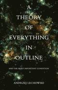 Theory of Everything in Outline