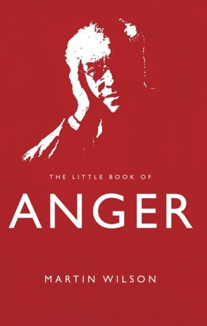 Martin Wilson - Little Book of Anger, E-bok