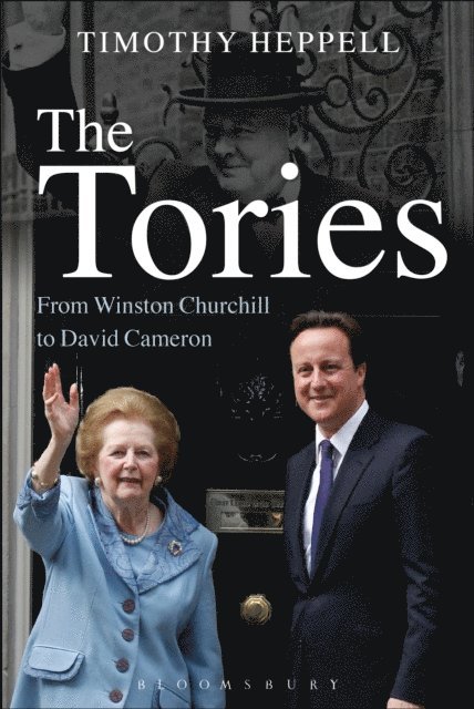 Timothy Heppell - Tories, E-bok