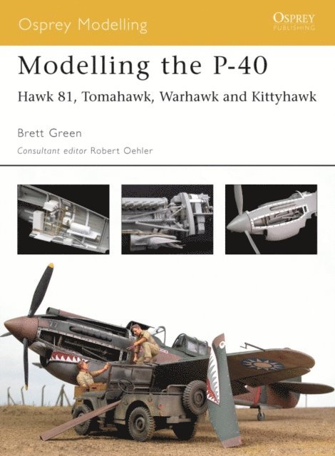 Brett Green - Modelling the P-40, E-bok