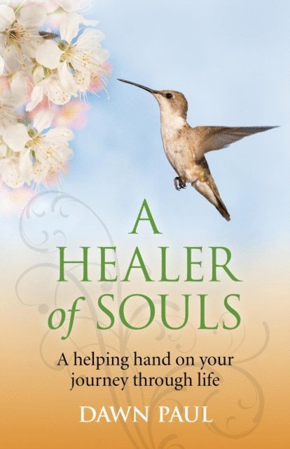 Dawn Paul - Healer of Souls, E-bok