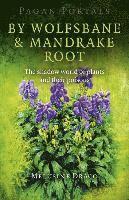 Pagan Portals  By Wolfsbane & Mandrake Root  The shadow world of plants and their poisons