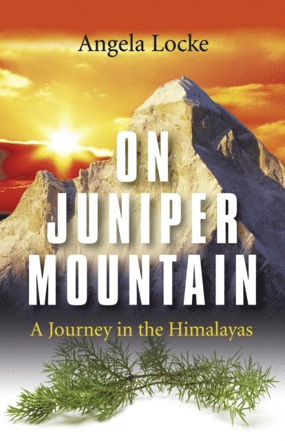 Angela Locke - On Juniper Mountain, E-bok