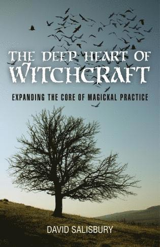 David Salisbury - Deep Heart of Witchcraft, The – Expanding the core of magickal practice, Häftad. Tillgänglighet: Lägg i varukorg