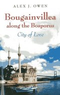 Bougainvillea along the Bosporus  City of Love