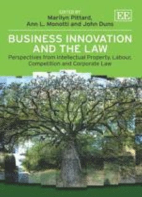 John Duns, Ann L. Monotti, Marilyn Pittard - Business Innovation and the Law, E-bok