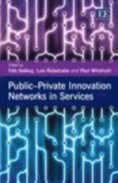 Paul Windrum, Luis Rubalcaba, Faiz Gallouj - Public-Private Innovation Networks in Services, E-bok