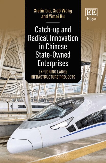 Yimei Hu, Xiao Wang, Xielin Liu - Catch-up and Radical Innovation in Chinese State-Owned Enterprises, E-bok
