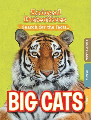 Anne O'Daly - Big Cats, Inbunden